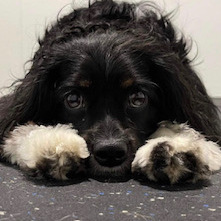 Fundraising Page: Bonny Brennan 